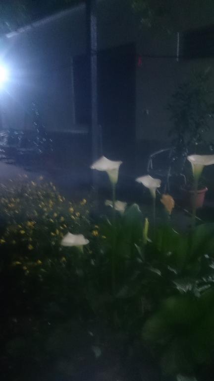 Gjirokastër Camping Late מראה חיצוני תמונה