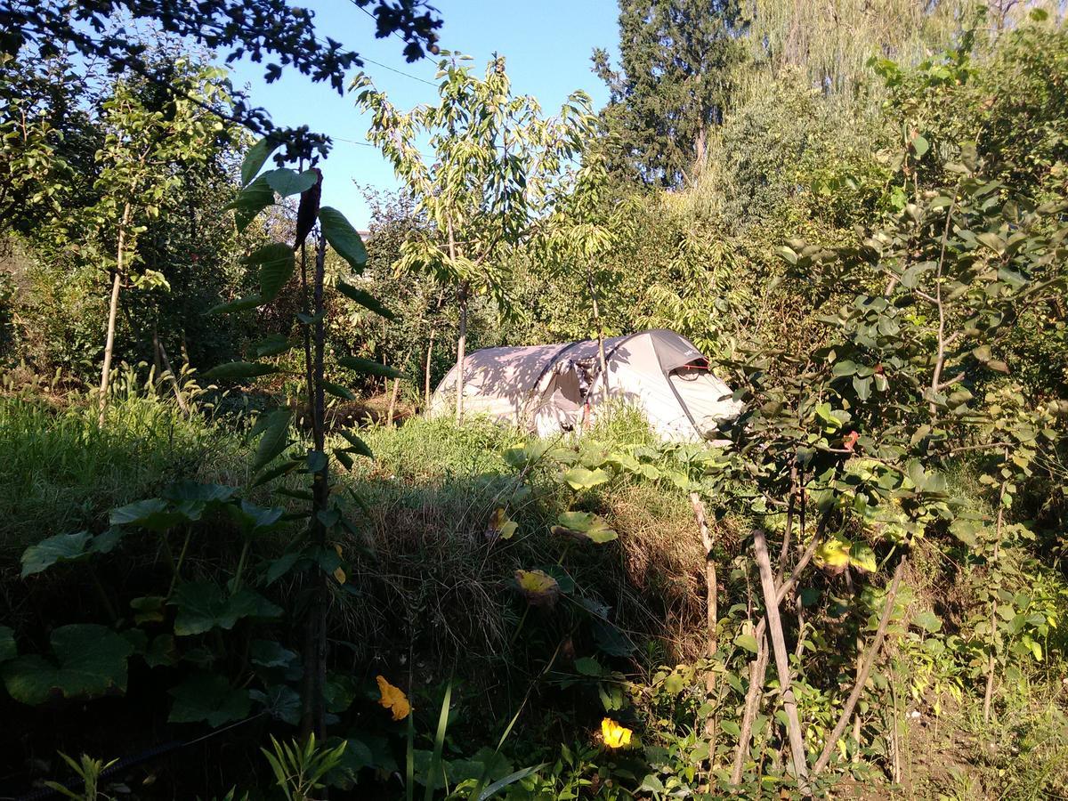 Gjirokastër Camping Late מראה חיצוני תמונה